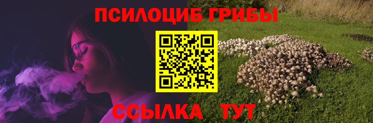 Псилоцибиновые грибы Psilocybine cubensis  Псилоцибиновые грибы мицелий  Балашов  купить наркотик  Вход с VPN 